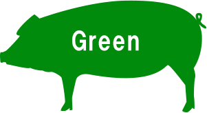イベリコ豚グリーンラベル