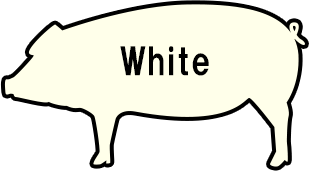 イベリコ豚ホワイトラベル